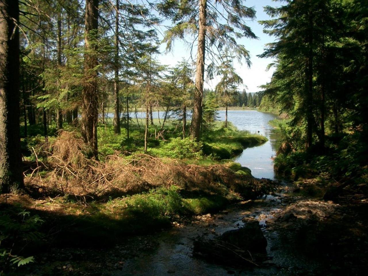 Ferienhof Ellerbeck 랑도르프 외부 사진
